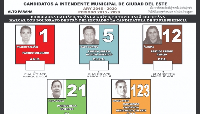 Modelo oficial del boletÃ­n de voto para Elecciones Municipales en Ciudad del Este